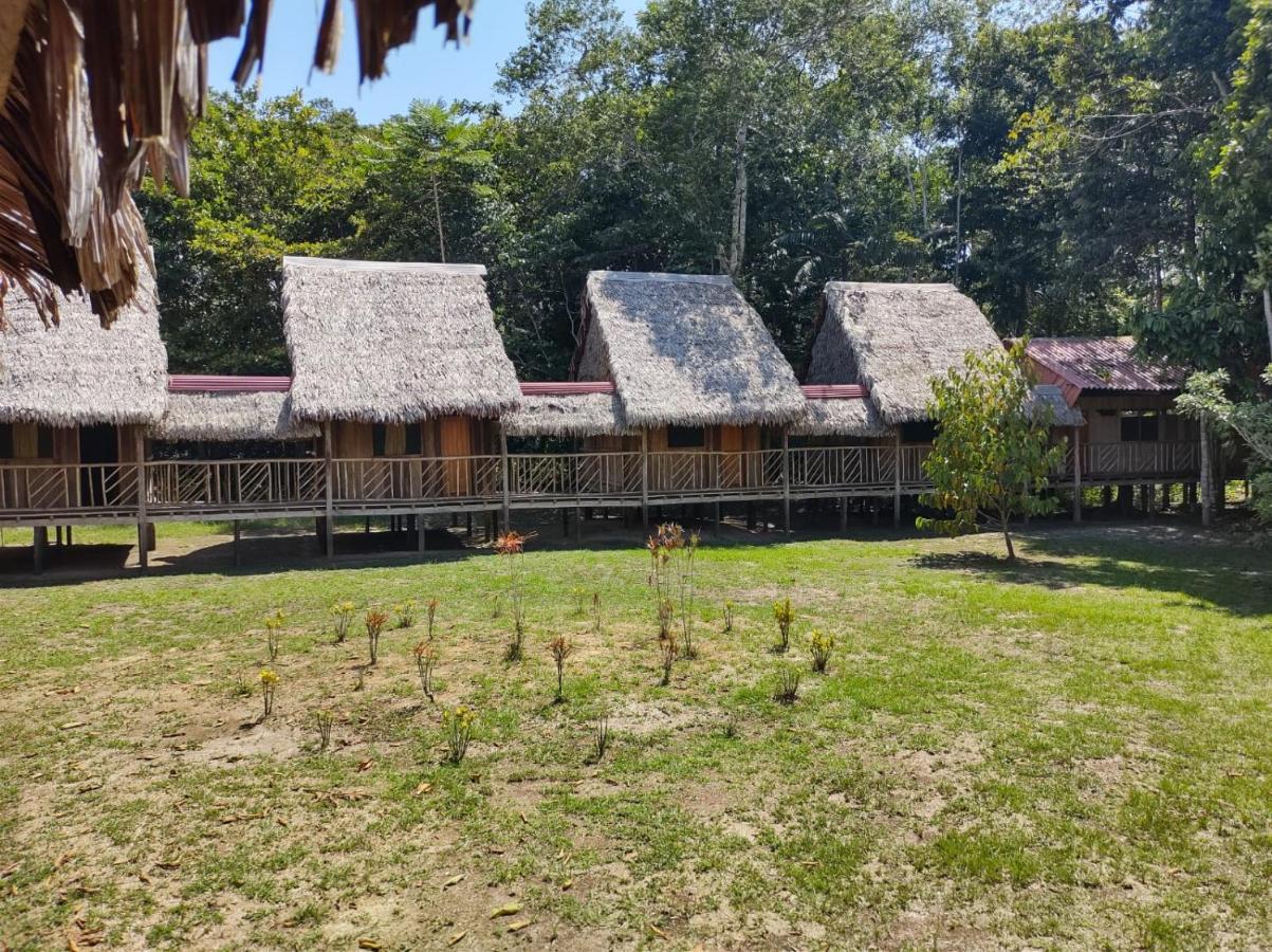 Intillama Jungle Lodge Eirl Paucarpata  Buitenkant foto