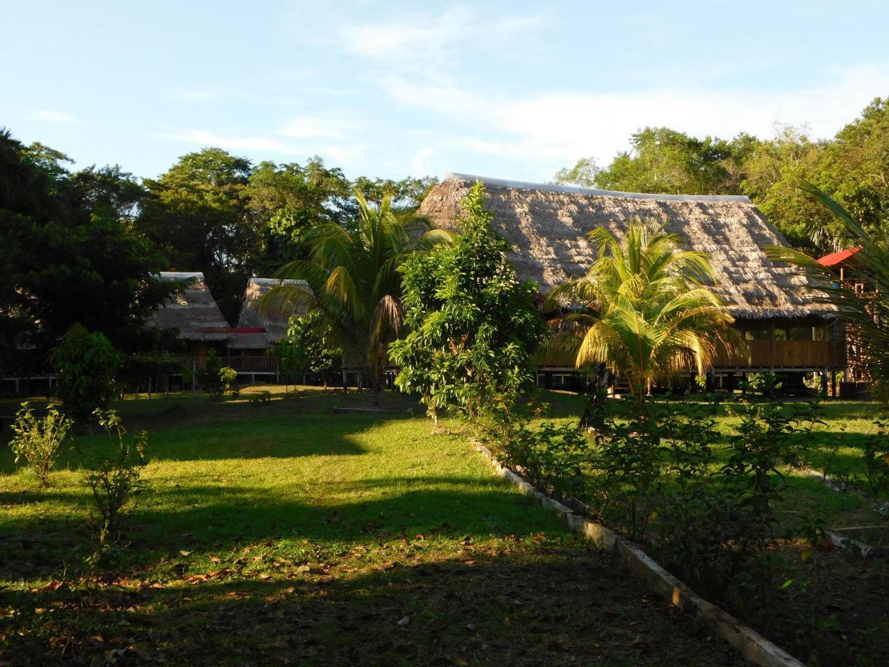 Intillama Jungle Lodge Eirl Paucarpata  Buitenkant foto