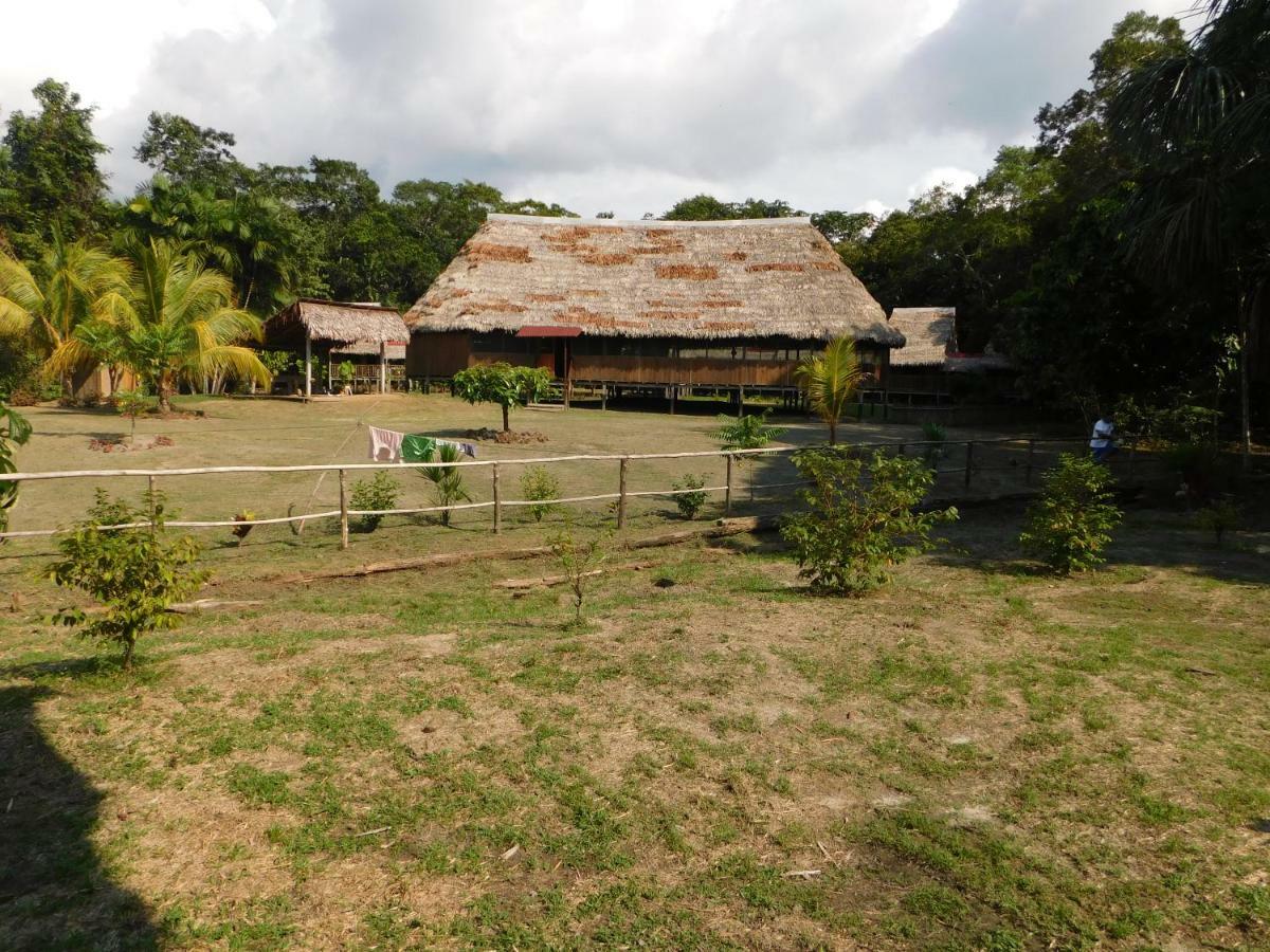 Intillama Jungle Lodge Eirl Paucarpata  Buitenkant foto