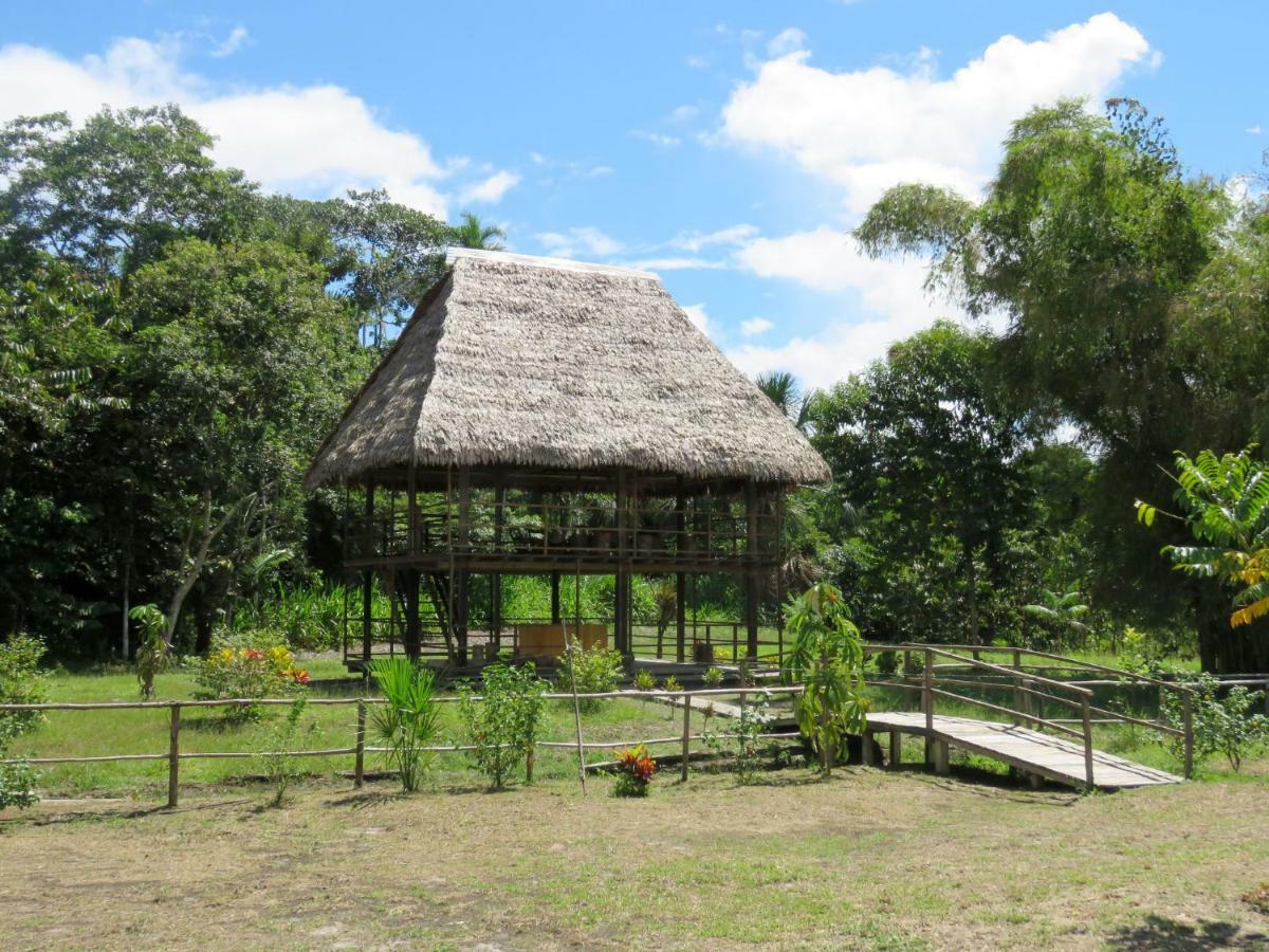 Intillama Jungle Lodge Eirl Paucarpata  Buitenkant foto